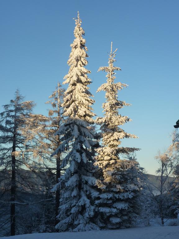 Der Löffler am Semmering Exterior foto
